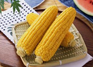 吃玉米会胖吗？减肥期间可以吃玉米吗？