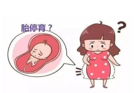 30岁女人胎停后多久才能再次怀孕？30岁女人胎停后该怎样保养？